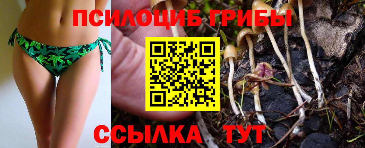 Галлюциногенные грибы ЛСД Кимры